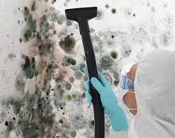 Best Commercial Mold Inspection in Mehlville, MO